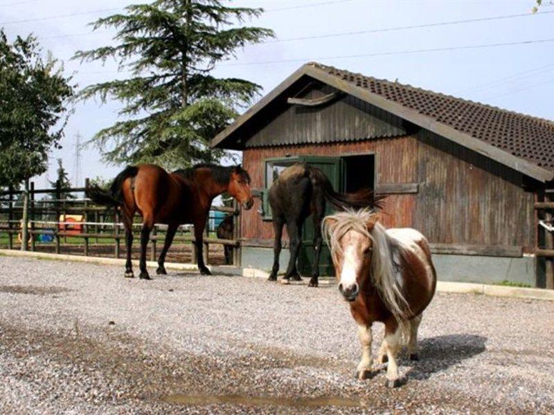 Da Mariuccia Robecchetto con Induno Exterior foto
